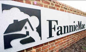 El inicio de la crisis inmobiliaria: Fannie Mae y Freddy Mac